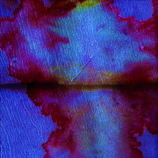 Hett Witedski Horizon