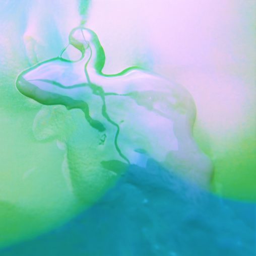 hett witedski lizard